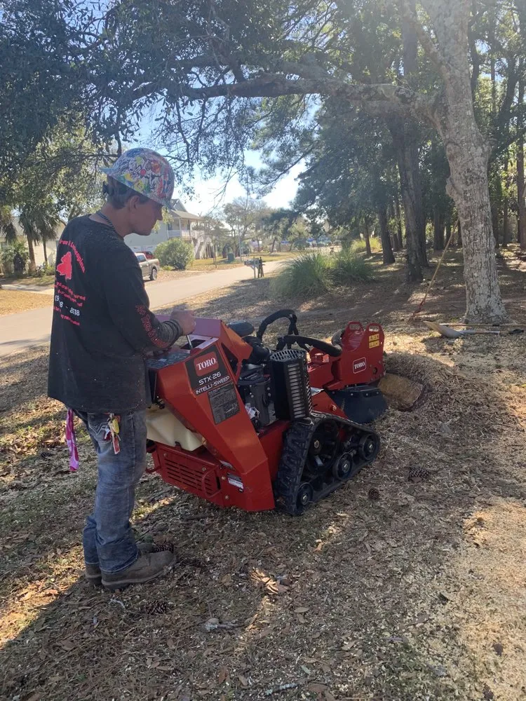Custom landscaping services in Supply, NC - A+ Tree & Landscaping