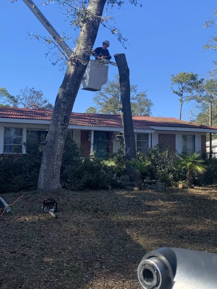 Expert residential landscaping experts serving Supply, NC - A+ Tree & Landscaping
