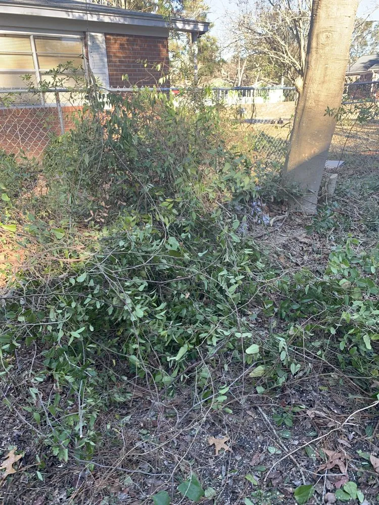 Custom yard maintenance in Supply, NC by A+ Tree & Landscaping