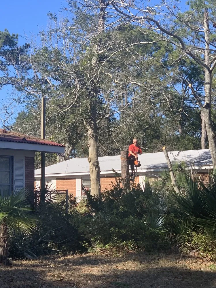 Local residential landscaping experts serving Supply, NC - A+ Tree & Landscaping