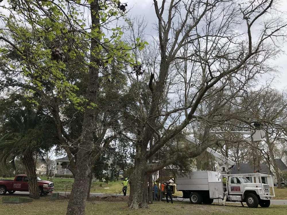 Trusted lawn care service in Supply, NC - A+ Tree & Landscaping