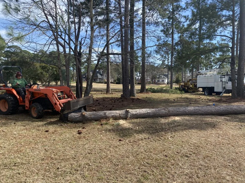 Local landscape design in Supply, NC by A+ Tree & Landscaping