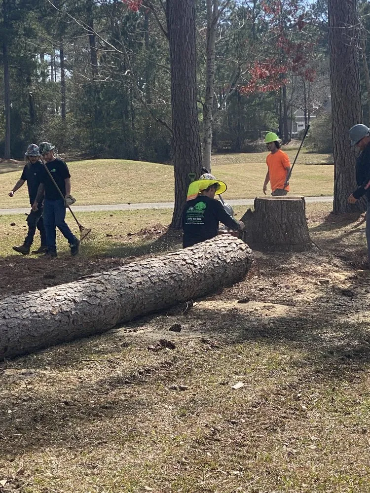 Professional yard cleanup service for beautiful yards across Supply, NC - A+ Tree & Landscaping