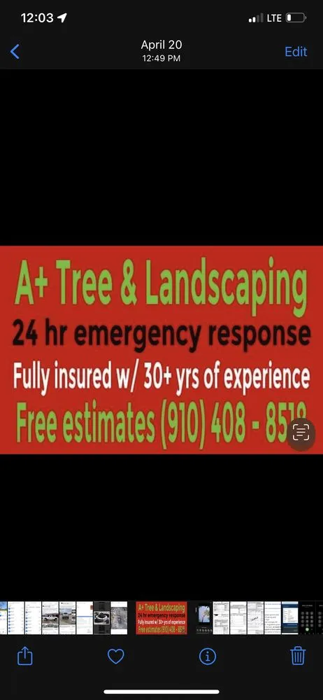 Trusted landscaping services near you in Supply, NC by A+ Tree & Landscaping