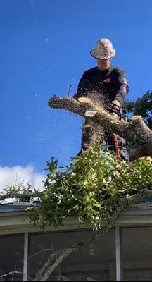 A+ Tree & Landscaping Logo