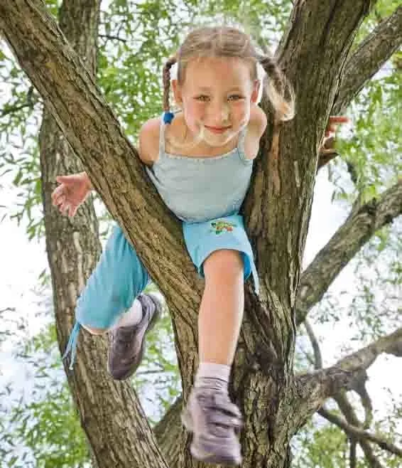 Reliable residential landscaping with custom design across Cartersville, GA - A+ Tree Care