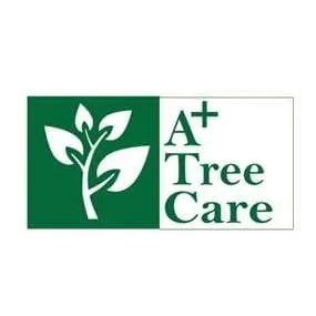 Local yard cleanup service for beautiful yards in Cartersville, GA by A+ Tree Care