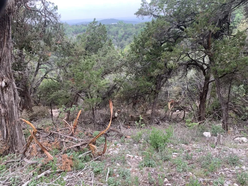 Custom garden landscaping in Cedar Park, TX - A+ Tree Service