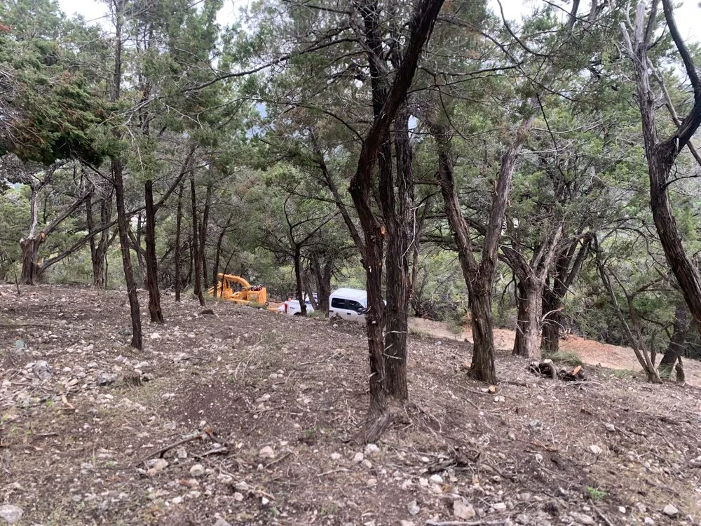 Expert yard maintenance in Cedar Park, TX by A+ Tree Service