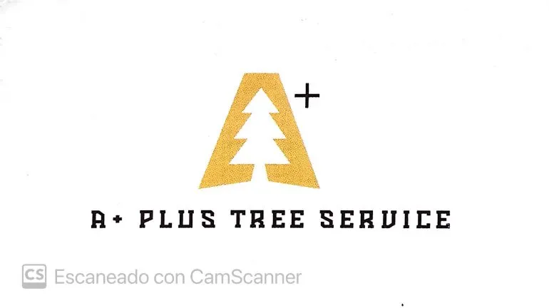 Professional lawn mowing service for beautiful yards in Cedar Park, TX by A+ Tree Service