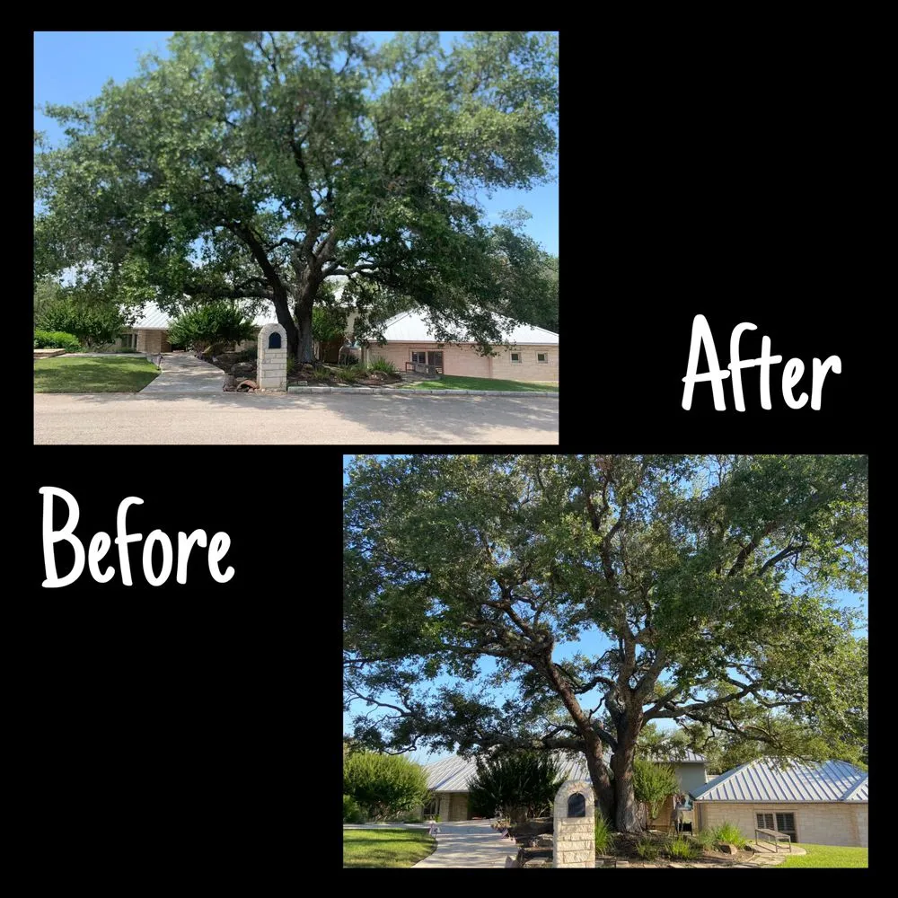 Custom landscaping services for year-round maintenance across Cedar Park, TX - A+ Tree Service