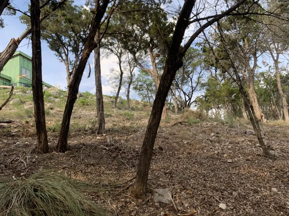 Expert lawn care service in Cedar Park, TX by A+ Tree Service