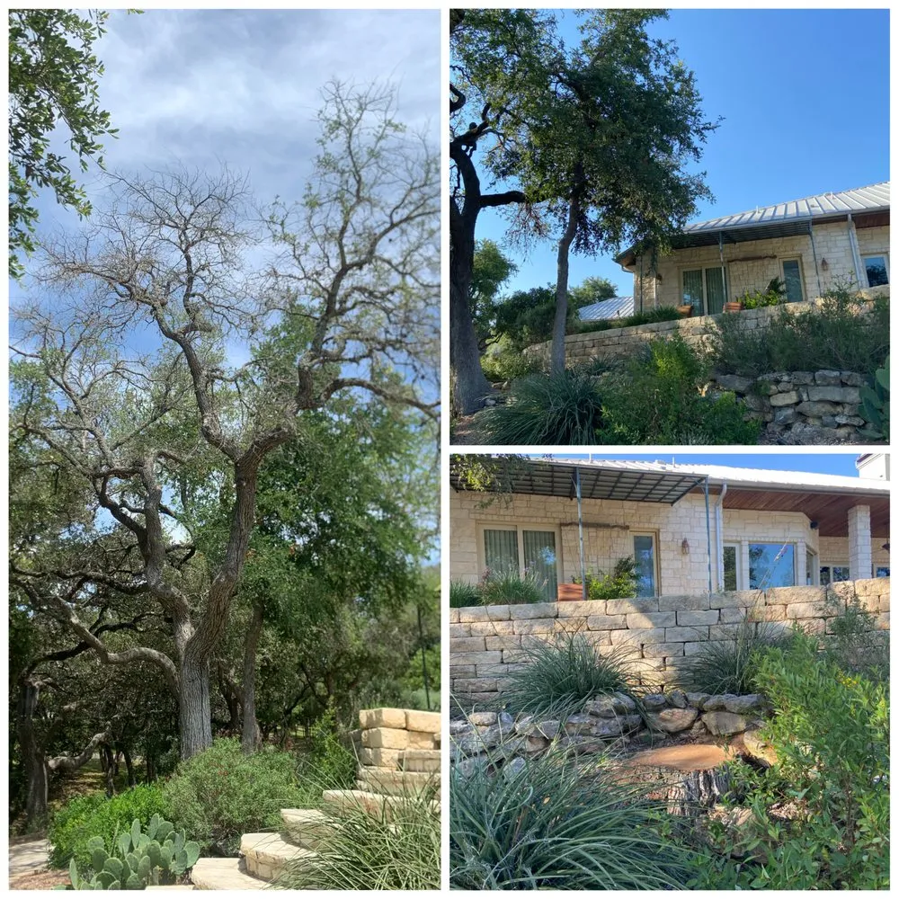 Expert outdoor landscaping for beautiful yards in Cedar Park, TX by A+ Tree Service