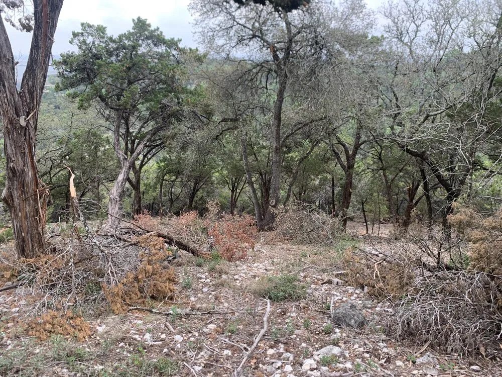 Reliable landscape installation in Cedar Park, TX - A+ Tree Service