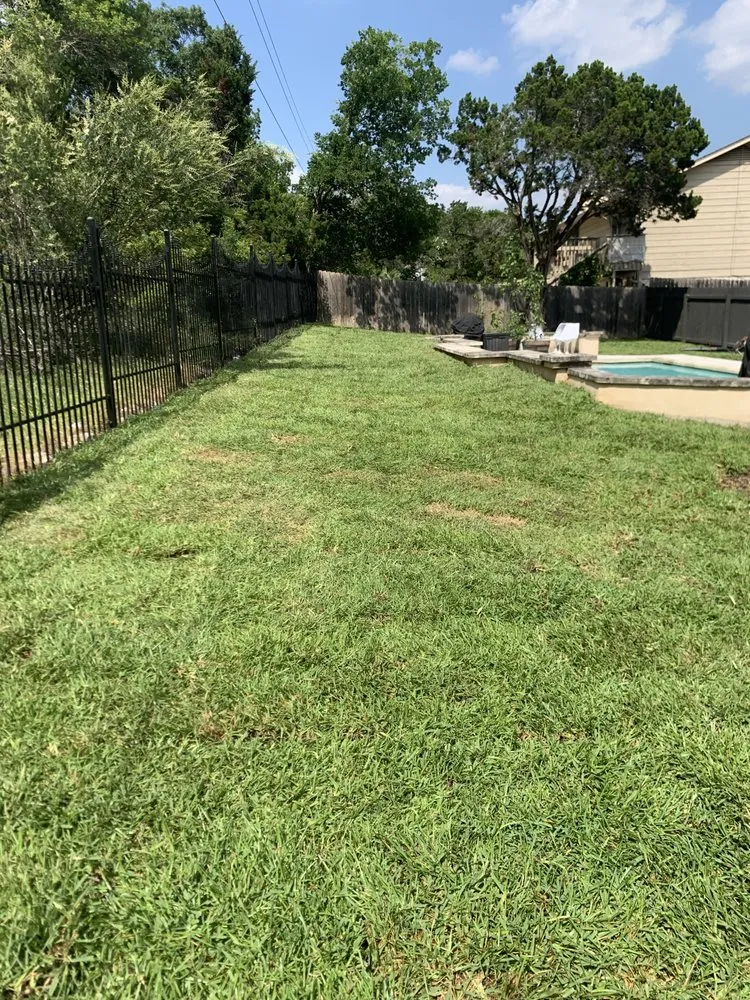Custom yard maintenance in Cedar Park, TX by A+ Tree Service