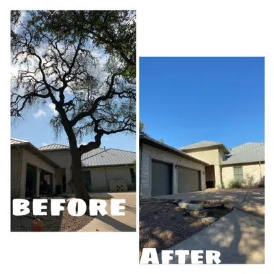 A+ Tree Service Logo