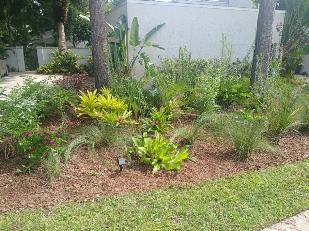 Reliable landscape design in Mims, FL by A True Blessing Lawncare