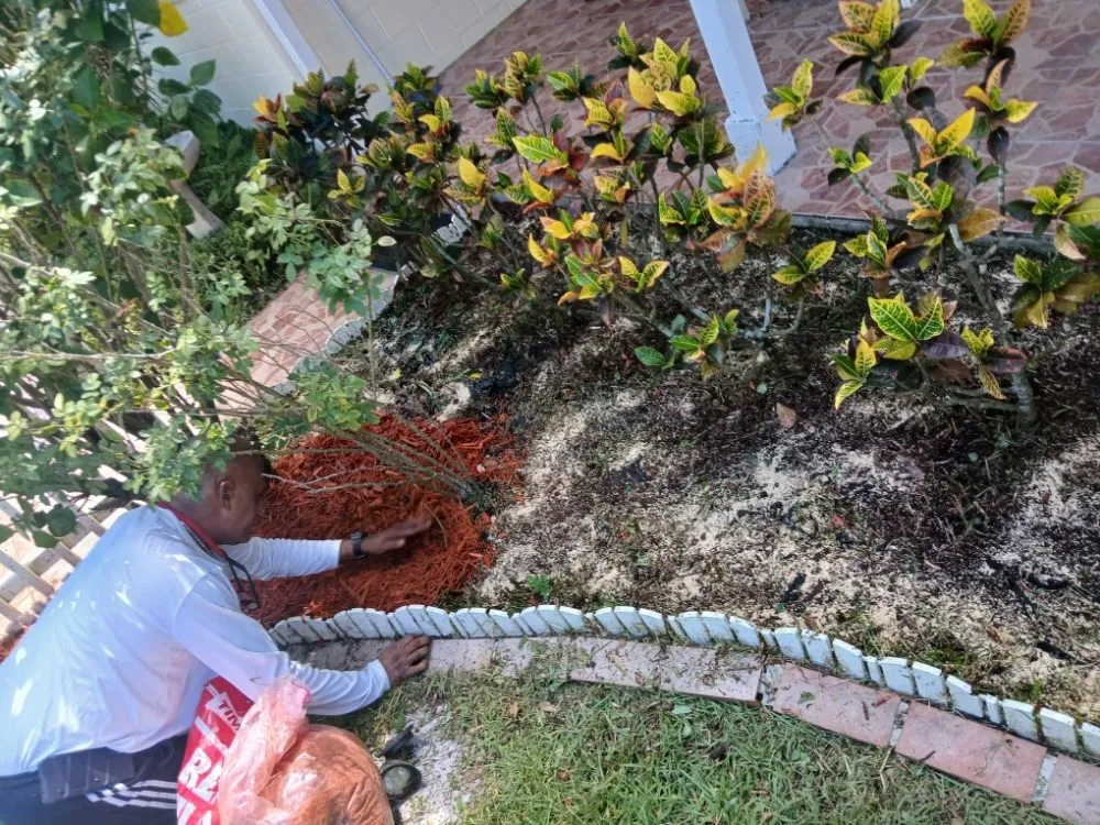 Local landscaping services experts serving Mims, FL - A True Blessing Lawncare