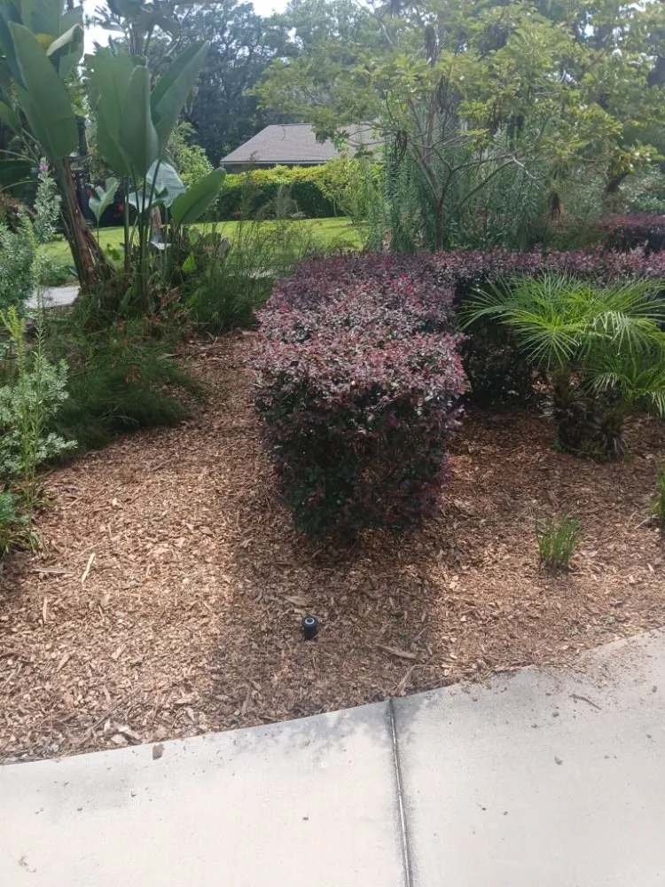 Affordable yard maintenance in Mims, FL by A True Blessing Lawncare