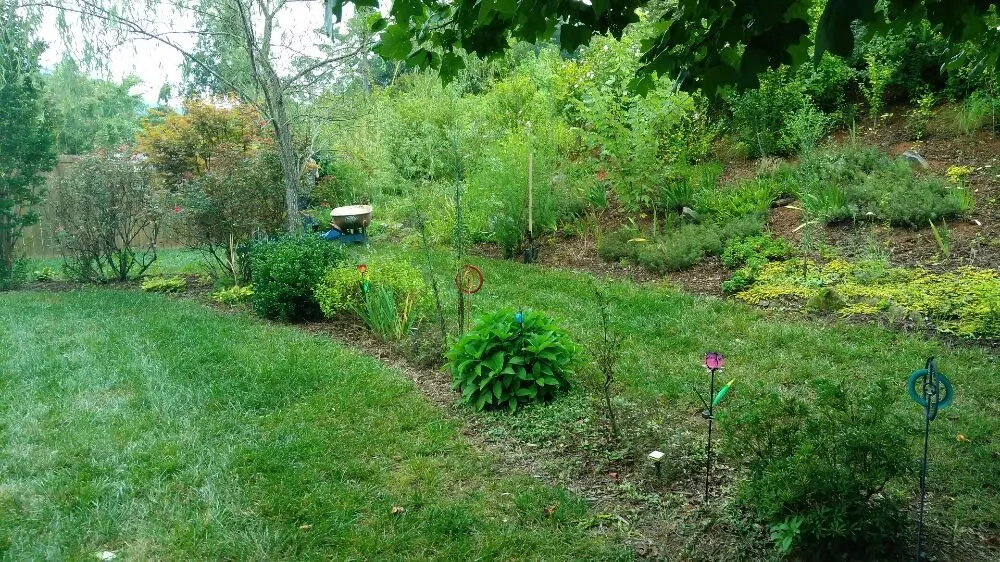 Top-rated garden landscaping for beautiful yards across Asheville, NC - A Trusty Shovel