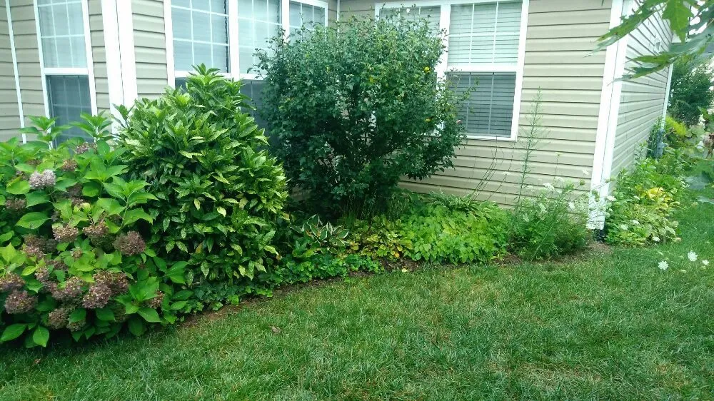 Top-rated landscape design experts serving Asheville, NC - A Trusty Shovel