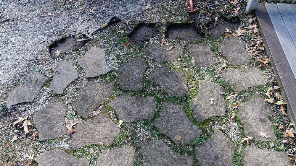 Trusted yard cleanup service in Asheville, NC - A Trusty Shovel