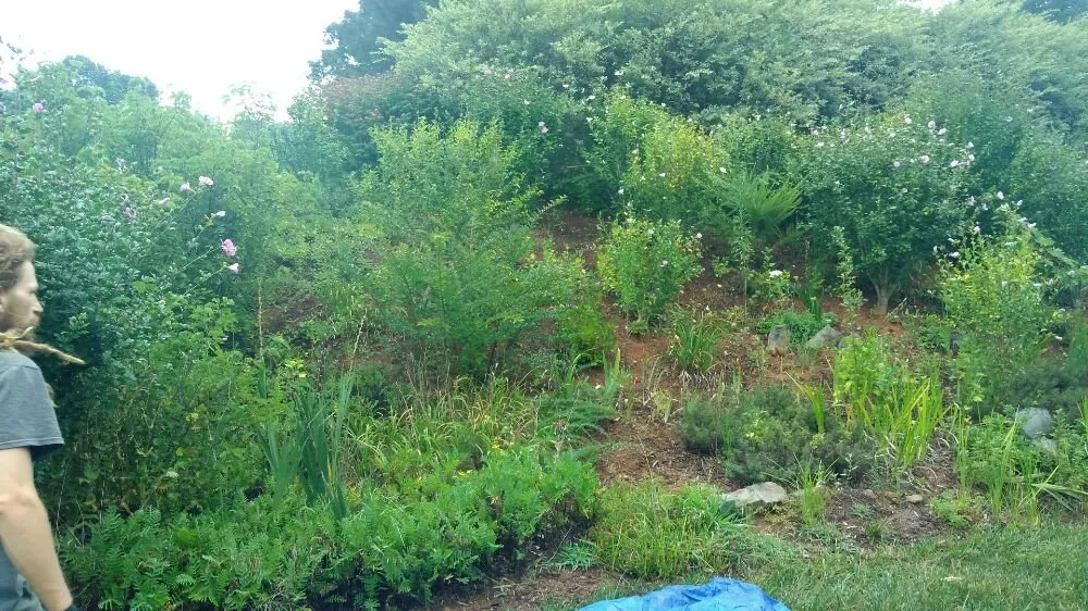 Affordable outdoor landscaping for beautiful yards in Asheville, NC by A Trusty Shovel