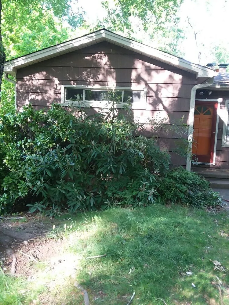 Local yard cleanup service with custom design across Asheville, NC - A Trusty Shovel