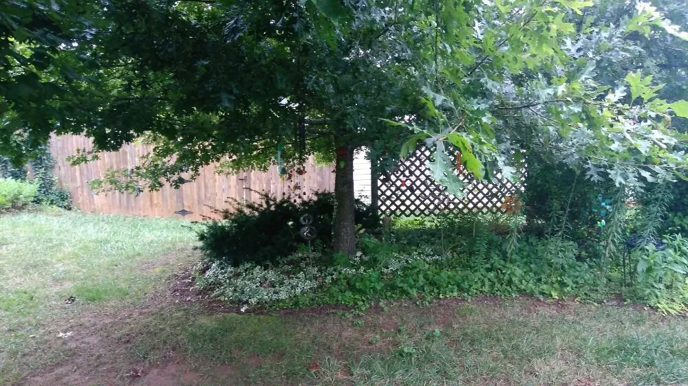 Local lawn mowing service for homes in Asheville, NC by A Trusty Shovel