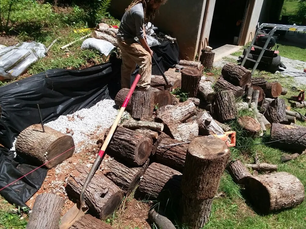 Professional yard maintenance experts serving Asheville, NC - A Trusty Shovel