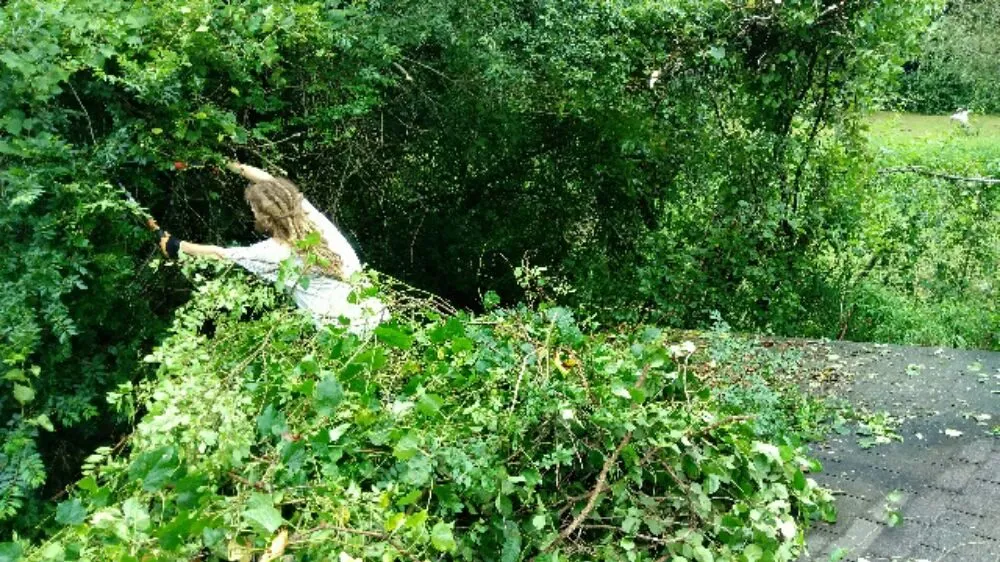 Expert garden landscaping experts serving Asheville, NC - A Trusty Shovel