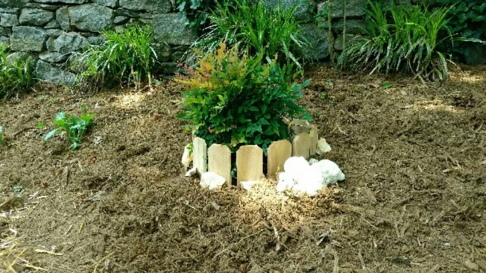 Local lawn mowing service in Asheville, NC - A Trusty Shovel