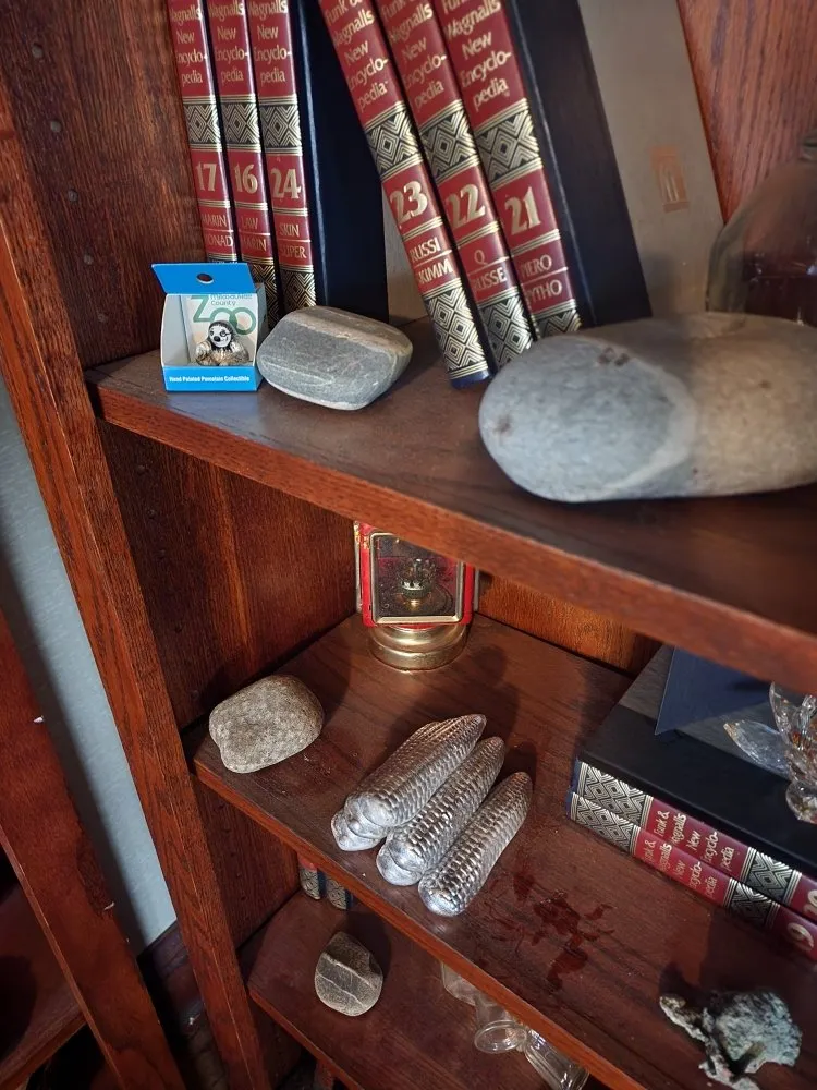 Local lawn mowing service for year-round maintenance across Fox Lake, WI - A Trusty Tool