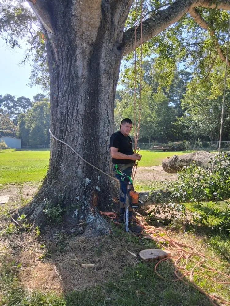 Custom outdoor landscaping in Lumberton, TX by A Unity Tree Service