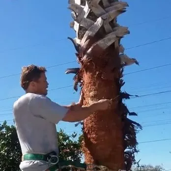 Reliable residential landscaping for homes across Lumberton, TX - A Unity Tree Service