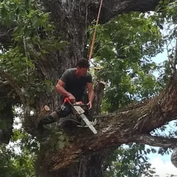 Trusted lawn mowing service in Lumberton, TX - A Unity Tree Service