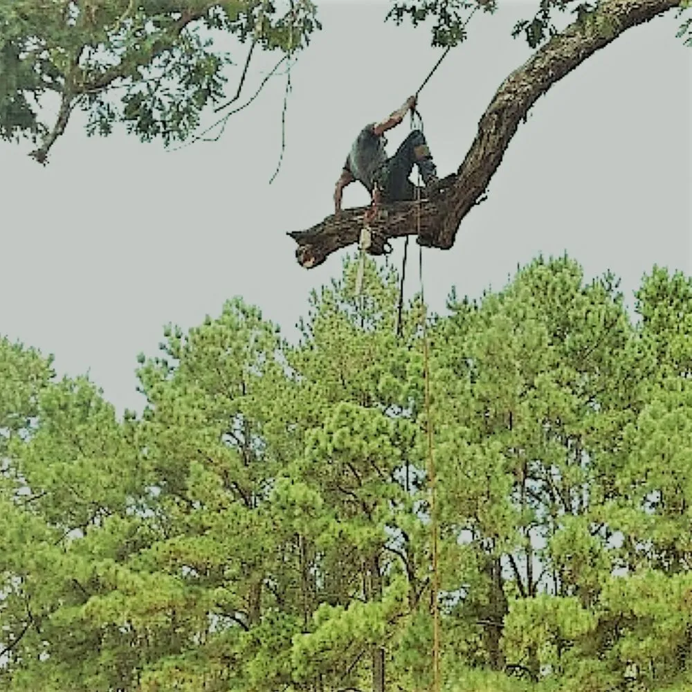 Custom landscape design in Lumberton, TX - A Unity Tree Service