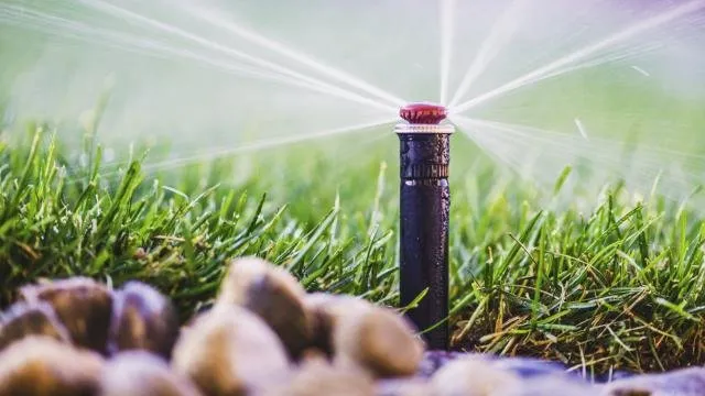 Custom yard cleanup service for outdoor upgrades in Palmdale, CA by A V Center Maintenance