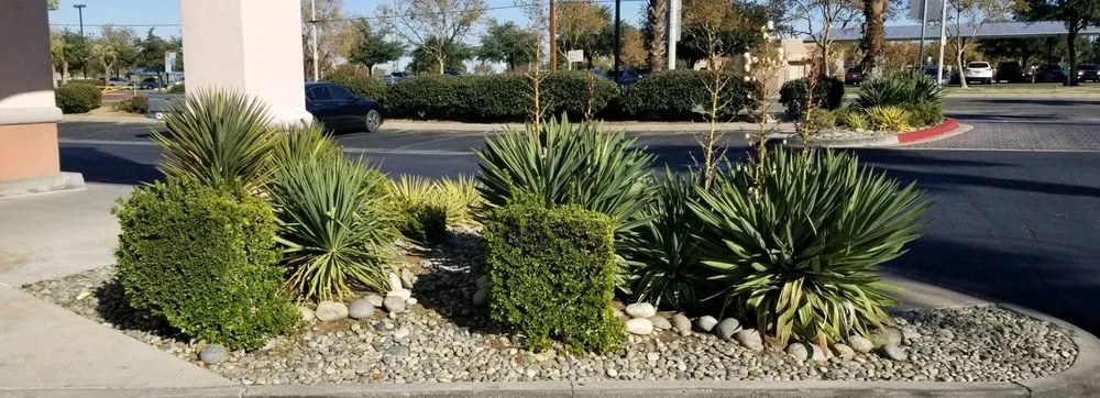 Top-rated yard maintenance in Palmdale, CA - A V Center Maintenance