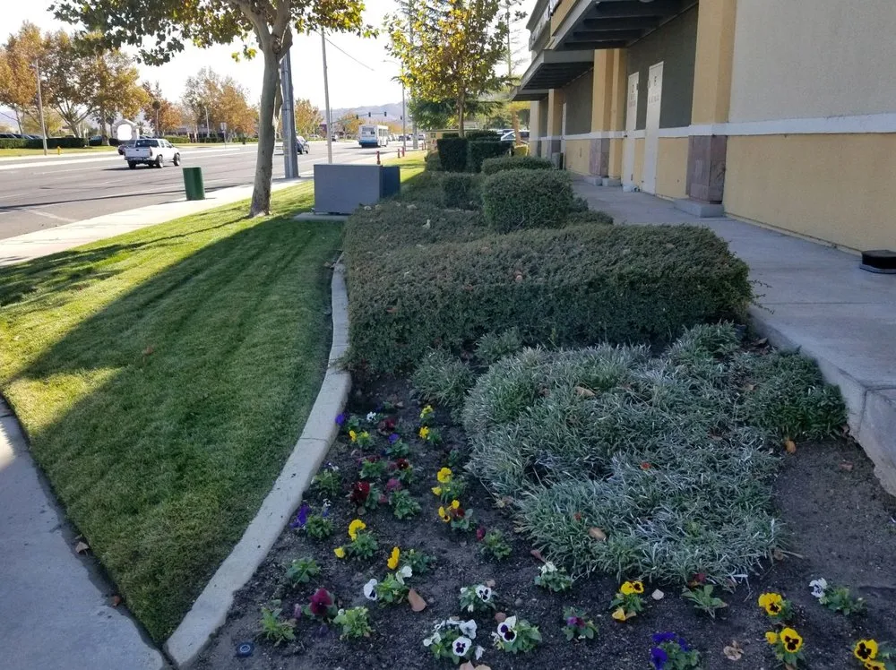 Top-rated lawn care service in Palmdale, CA - A V Center Maintenance