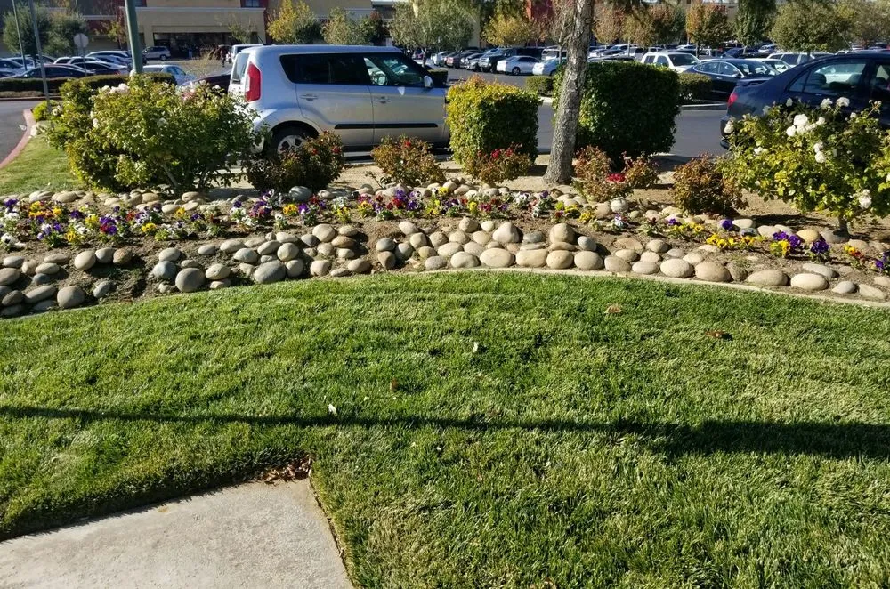 Custom yard cleanup service in Palmdale, CA by A V Center Maintenance