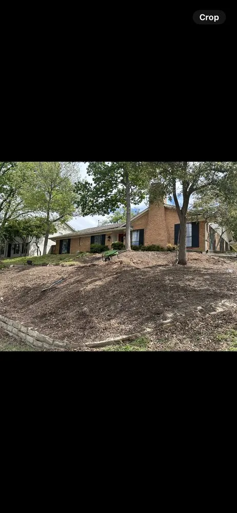 Professional yard maintenance in Dallas, TX by A V SCAPES