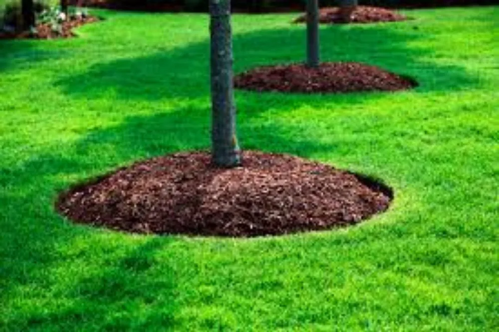 Top-rated residential landscaping in Egg harbor Township, NJ - A Vision Landscaping & Construction