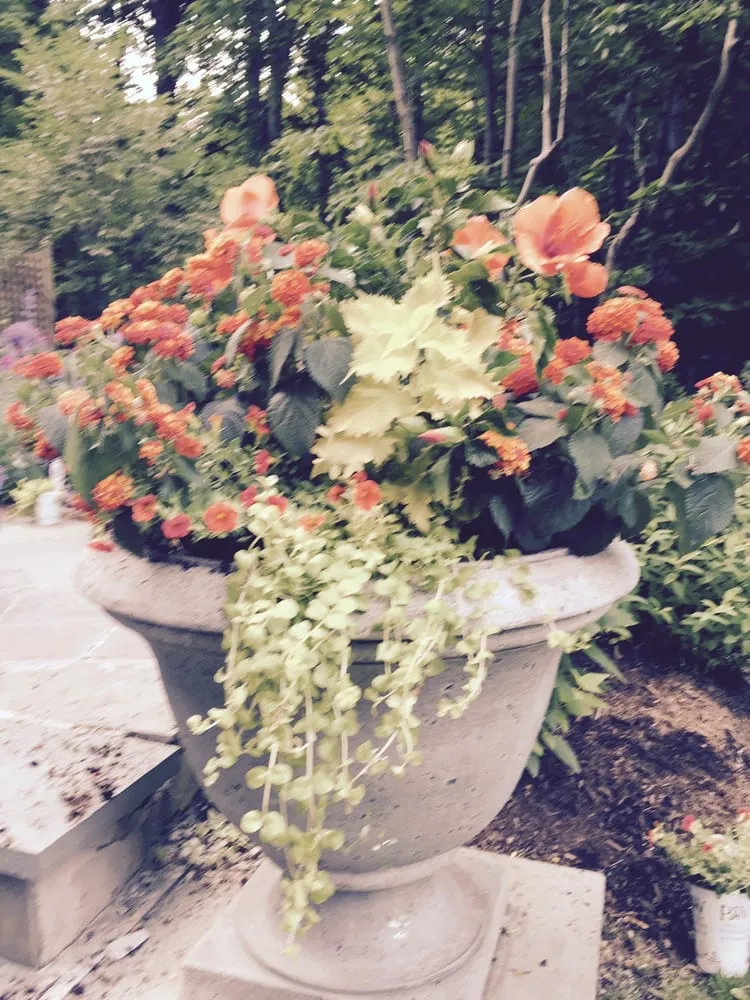 Professional outdoor landscaping in Irvington, NY - A Vulpone Landscaping