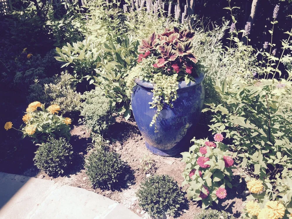 Reliable landscape design experts serving Irvington, NY - A Vulpone Landscaping