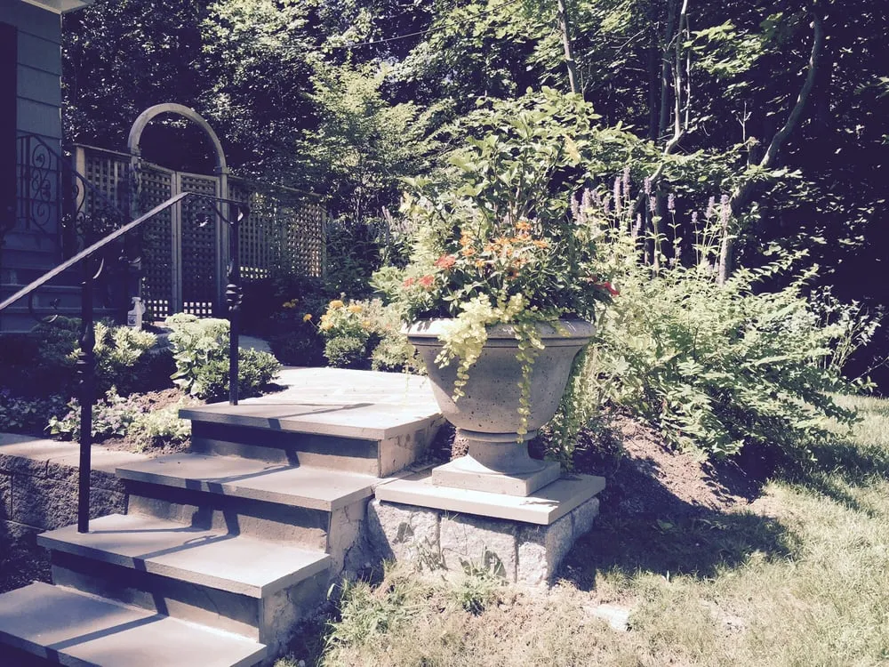 Local lawn care service for year-round maintenance across Irvington, NY - A Vulpone Landscaping