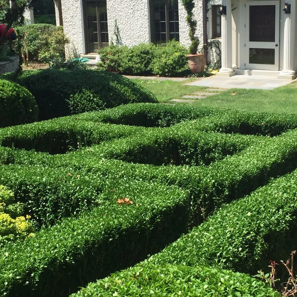 Local landscape design for residential properties in Irvington, NY by A Vulpone Landscaping