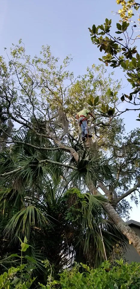 Trusted outdoor landscaping with custom design in Titusville, FL by A-W Handyman & Landscape Service