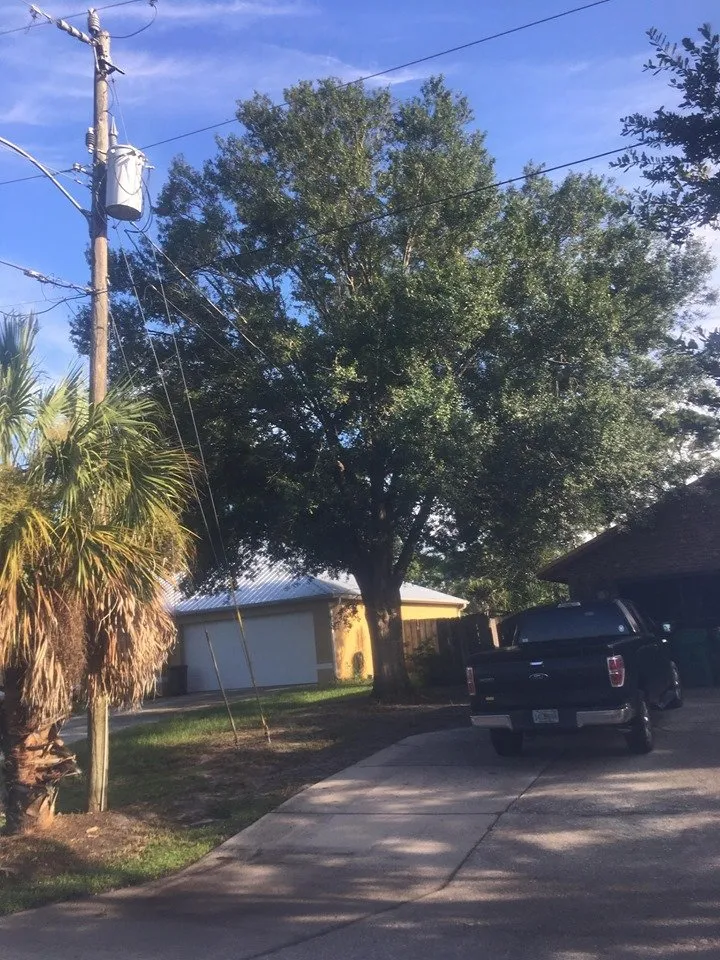 Local outdoor landscaping experts serving Titusville, FL - A-W Handyman & Landscape Service