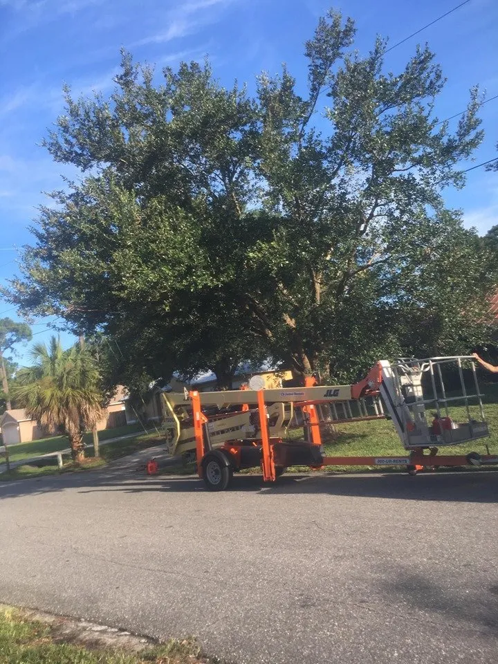 Custom lawn mowing service in Titusville, FL by A-W Handyman & Landscape Service